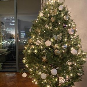 Meet your Posher, Carolina